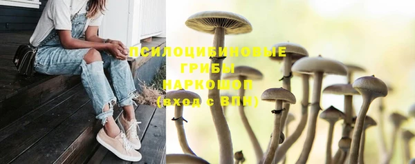 соль ск Верея