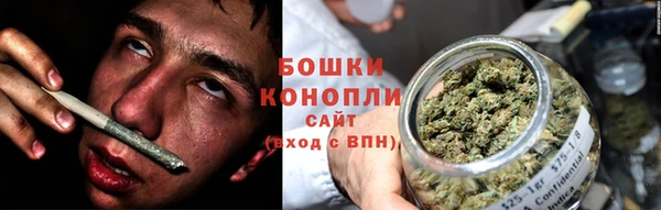 крисы Володарск