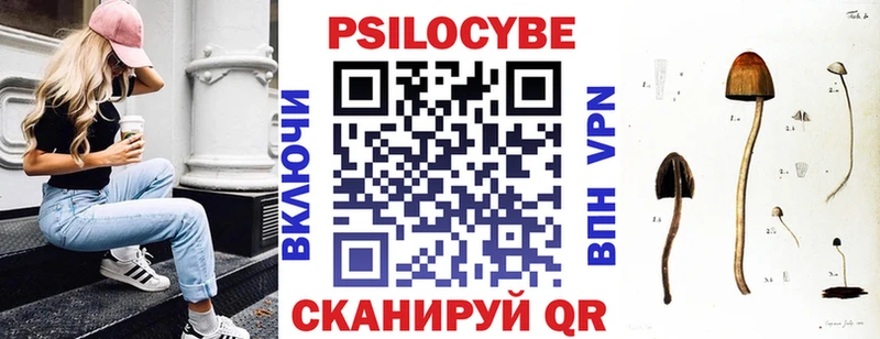 гидра вход  Гаврилов-Ям  Псилоцибиновые грибы Psilocybine cubensis 